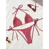 Amazon 2027 Nuevo Bikini Sexy Estampado a Cuadros Traje de Baño de Dos Piezas Comercio Exterior Playa Fuente Termal Ropa de Baño Europea y Americana