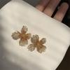 Aretes de Flor de Cristal de Color Degradado, Aretes Frescos y Blancos de Verano, Nuevos Aretes de Moda 2025 Super Hada Dulces Elegantes
