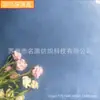 Oferta Especial Gamuza Sintética Piel de Ciervo Terciopelo Cinco Rosas Satén Tela de Puesto Callejero Tela Totalmente Poliéster Tela de Sofá Tela Cubierta de Oro