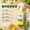 Fertilizante de Boro Molibdênio Fertilizante Foliar de Boro Zinco Molibdênio Promotor de Flores Conservador de Flores Fertilizante Solúvel em Água Elementos Traço Fluido Fertilizante de Boro