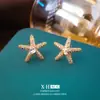 Brincos de Tarraxa Estrela do Mar Zircônia Geométrica Microincrustada Temperamento Personalidade de Nicho Brincos de Venda Quente Transfronteiriça Moda Única Joia de Orelha Casual