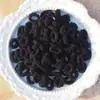 Goma para el pelo de dopamina para el pulgar de niños y niñas pequeñas, coleta alta que no se cae, cuerda para el pelo dulce y linda para niñas