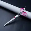 Conjunto Profissional de Tesouras para Banho e Tosquia de Animais para Gatos e Cachorros, Incluindo Tesouras Reta e Curva Desbastadoras, Suprimentos Transfronteiriços