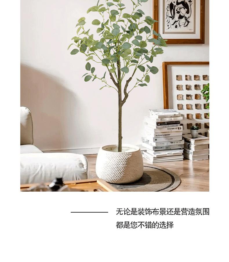 尤加利详情页_03.png