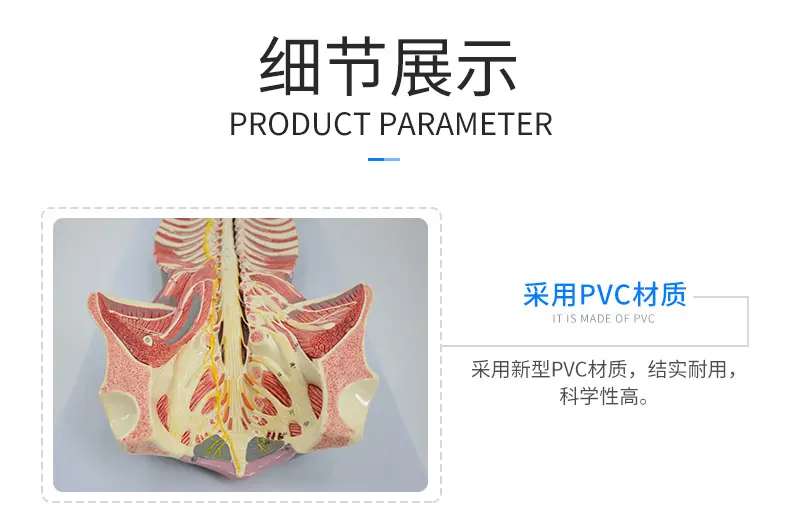 PNT-0642_07