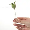 Pequena fruta de romã única de espuma verde de simulação fresca, materiais decorativos para arranjo de flores de guirlanda de rattan de Natal DIY feito à mão