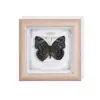 Marco de Fotos de Madera Azul Raro Mariposa Simple Moderno Retro Regalo de Vacaciones Especimen Pintura Decorativa