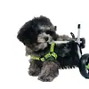 Auxílio para Passeio de Cachorro Pequeno, Estrutura de Suporte para Cães e Gatos, Cadeira de Rodas Leve para Filhotes, Auxílio para Caminhada para Cachorros com Deficiência