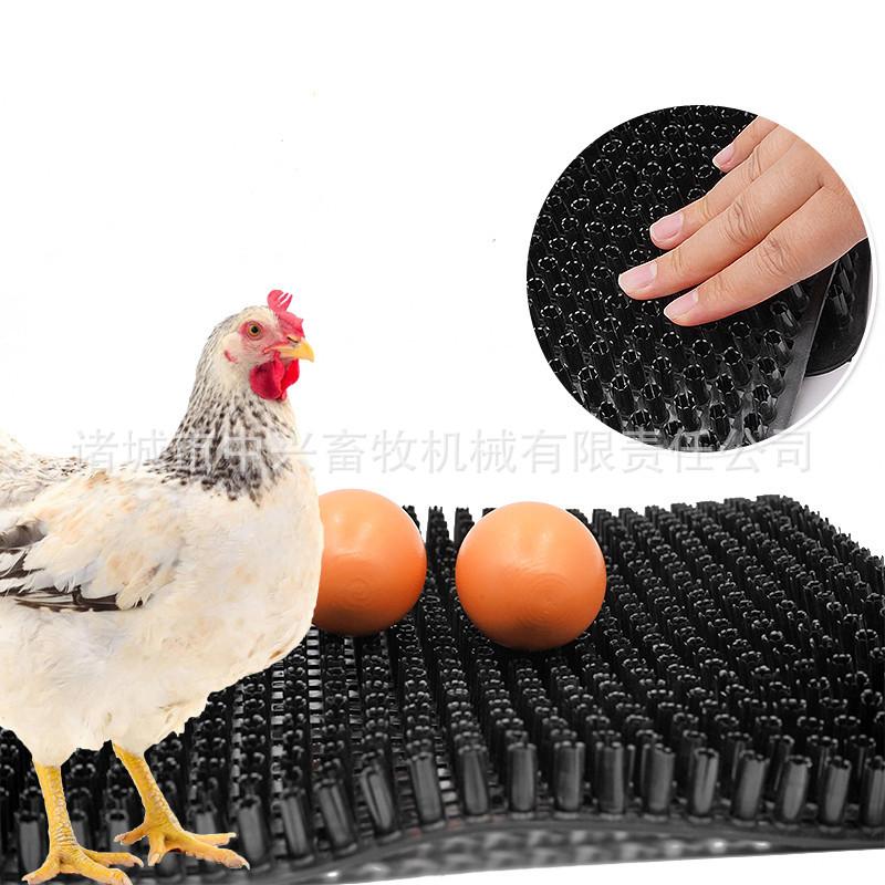1009
