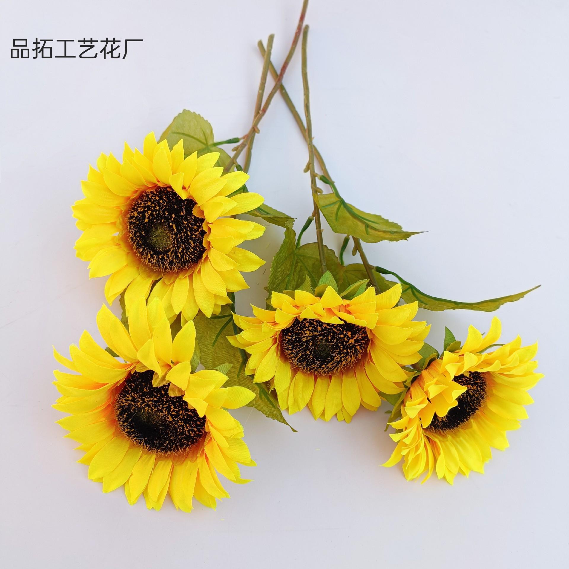543b5295dd68d743ced83de0f04598