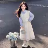 Conjunto de Sudadera Falsa de Dos Piezas con Falda Tipo Pastel de Encaje de Manga Larga Casual para Primavera y Otoño, Estilo Coreano para Chicas Dulces