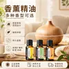 Comercio exterior spot transfronterizo rosa inglesa lirio aromaterapia aceite esencial soluble en agua humidificador aromaterapia sin fuego suplemento