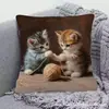 Funda de Almohada de Gato Más Vendida de Temu, Funda de Cojín Decorativa para el Hogar de Animales Linda y Divertida, Hecha a Medida y Disponible para Dropshipping