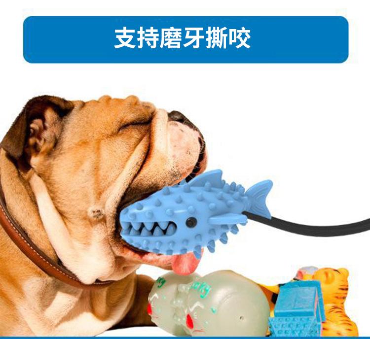 鲨鱼_13.jpg
