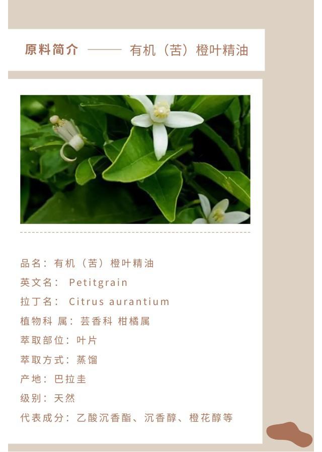 苦橙叶精油.jpg