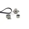 Kit de correa de distribución para bomba de agua adecuado para polea tensora Alfa Romeo KP45623XS 71771592