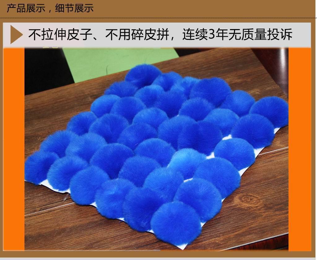 獭兔细节-P06-01.jpg