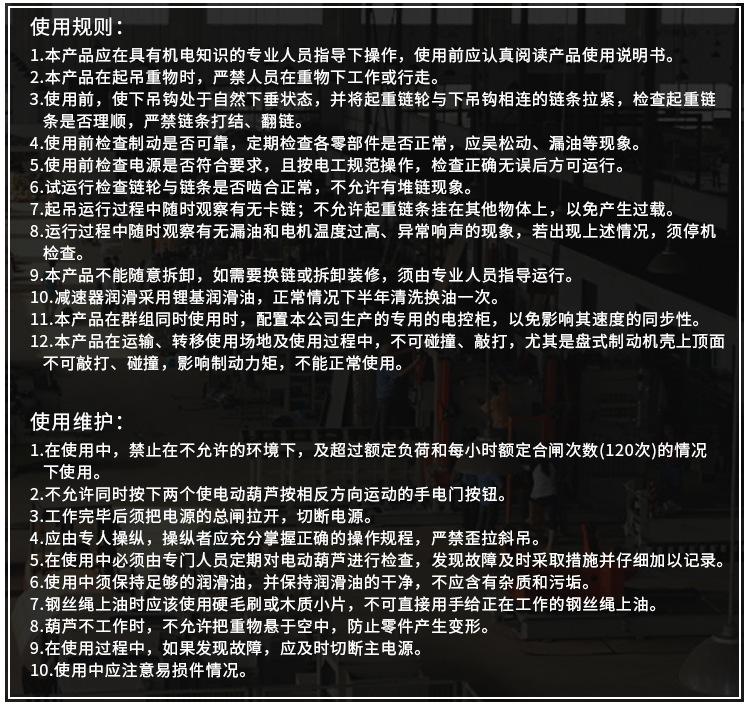 DHS型环链电动葫芦黑色_05.jpg