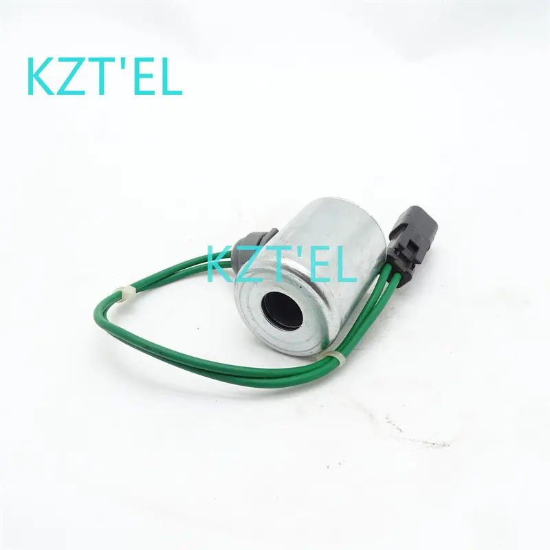 218-9894线圈24V (4)
