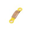 Placa de identificación para perro letras de personalidad pelo dorado gato Teddy acero inoxidable electrochapado adornos para perro tarjeta de identidad para mascotas anti-pérdida