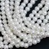 Cuentas de Perla de Vidrio de Alto Brillo Fábrica de Origen Perlas de Concha 4-14 mm Agujero Completo Accesorios para Joyería DIY Venta al por Mayor
