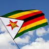 Transfronterizo en stock 90*150cm bandera de Zimbabue 3*5 bandera de Zimbabue poliéster hilado Chunya serigrafía