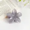 Novo Prendedor de Cabelo Fofo em Formato de Flor de Plumeria Colorida da Bai Feiya, Acessório de Cabelo Doce e Estiloso para Meninas, Grampo de Cabelo de Plástico