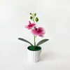 Plantas artificiais modernas e minimalistas em vasos com duas orquídeas, uma grande e uma pequena, para decoração de sala de estar e peitoril de janela em casa.