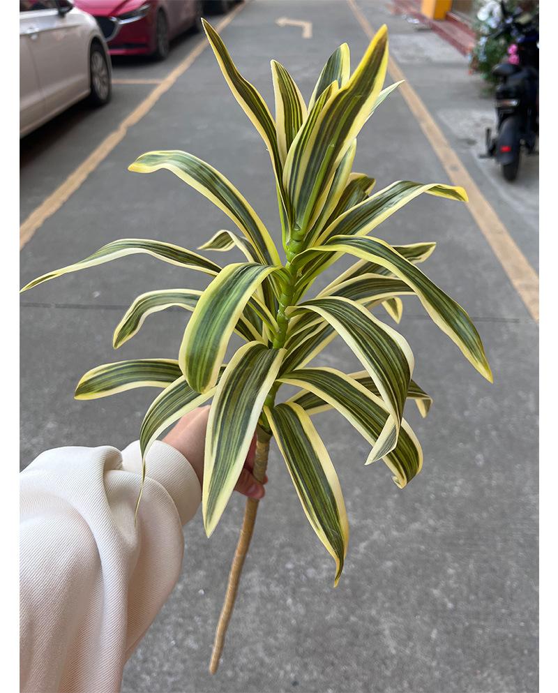 聚美-金边百合竹-详情_06.jpg
