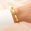 Pulseira de Aço Titânio, Simples, Elegante, Luxo Leve, Moda de Alto Padrão, Modelo Feminino Cravejado com Diamantes, Pulseira de Aço Inoxidável para Casal, Não Desbota, para Mulheres