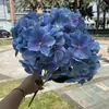 Hortensia Arcoíris Simulada de 5 Cabezas de Película, Ramo de Hortensias Simuladas, Flores de Boda, Hortensia de 5 Cabezas, Flores Simuladas