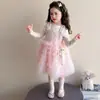 Conjunto de Falda Pastel para Niña Super Hermoso Estilo Primavera y Otoño Bebé Niña 2026 Nuevo Vestido de Princesa Vestido de Malla Degradado