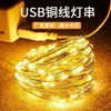 Ventas Directas de Fábrica Cobre Puro Led Lámpara de Alambre de Cobre Ocho Funciones Impermeable Caja de Batería USB Solar Guirnalda Decorativa Cadena de Luces