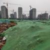 Red de protección al por mayor, red de protección verde, red de protección contra el polvo, red de carbón, red de protección solar, red de protección contra el polvo de 6 pines para obras de construcción.