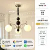 Lámpara de araña vintage estilo francés para sala de estar, dormitorio Bauhaus frijol mágico retro americano diseño creativo luminaria