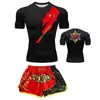 Conjunto de boxeo de dos piezas, traje de entrenamiento de combate para Muay Thai y Sanda, shorts de manga corta de secado rápido con estampado de logo, atuendo deportivo