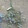 Viento de océano azul flores de simulación para boda al por mayor azul oscuro azul zafiro azul bruma blanco boda camino guía techo flores falsas