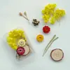 Paquete de Materiales Hechos a Mano para Bricolaje Flores Mixtas Plantas Flores Secas Piñas de Navidad Estilo Bosque para Jardín de Infancia Creación Ambiental Decoración
