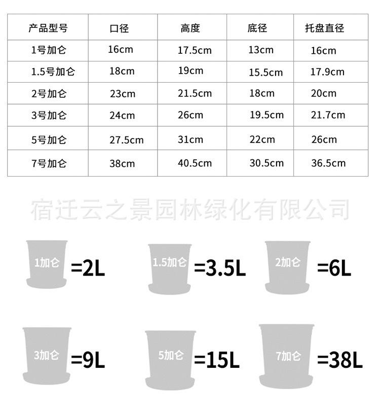 详细4.JPG