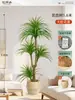 Plantas Verdes Artificiais de Alta Qualidade para Decoração de Sala de Estar, Planta Realista Falsa de Figueira-da-Índia Preta para Decoração de Sala de Transmissão ao Vivo