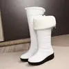 Botas Altas de Invierno 2024 con Forro de Lana Cálido de Plumas Tallas 40-43 Comercio Exterior con Cordones Botas de Nieve Individuales de Europa y América