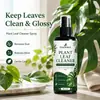 KineShineX Limpiador de Hojas de Plantas 40ml Spray para Eliminar Polvo de Hojas de Plantas de Interior y Exterior Limpia Manchas