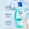 Champú Fensi Suave Control de Grasa Refrescante Champú Esponjoso Cuidado del Cuero Cabelludo Anticaspa Champú Familiar para Hombres y Mujeres Lote