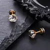 Novos Brincos de Zircônia de Cinco Garras para Homens, Brincos Versáteis e da Moda em Aço Inoxidável para Mulheres, Joias Personalizadas de Luxo Leve e de Alta Qualidade