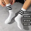 Calcetines de Moda Callejera para Hombre de Primavera y Verano, Calcetines Versátiles de Media Pantorrilla, Calcetines de Algodón de Alta Calidad Estilo Europeo y Americano