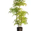 2026 Planta Verde Artificial Nandina Planta em Vaso Alto Padrão Luxo Leve Decorativa para Chão de Sala de Estar Flor Árvore Artificial Grande