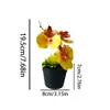 Mini 3 orquídeas Phalaenopsis artificiais em vasos aveludados, fornecimento de exportação direta, flores artificiais de toque realista, bonsai, adereços para fotografia