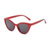 Novos Óculos de Sol Fashion com Armação Grande Estilo Gatinho da Rain para Homens e Mulheres, Óculos Retrô, Óculos de Sol com Proteção UV