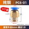 Conector rápido para tubería de gas, conector rápido neumático, fuente de aire, rosca PC8-02, paso recto PC 10-03/12/6/4/M5