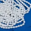 650 Cores 4-6mm Miçangas Arroz Pérolas Imitação Swarovski Contas de Concha Colar Pulseira Pingente Acessórios DIY Semi-Acabados Miçangas Atacado